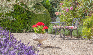 beautiful spa garden in the sun with flowers at ladies only spa